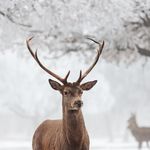 Profile Picture of Eddie Ledbetter (@eddieledbetter) on Instagram