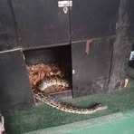 Profile Picture of James Loredo (@James-Loredo) on Facebook