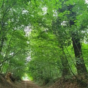 Profile Picture of Marie LAMOTHE (@MarieLAMOTHE9) on Twitter