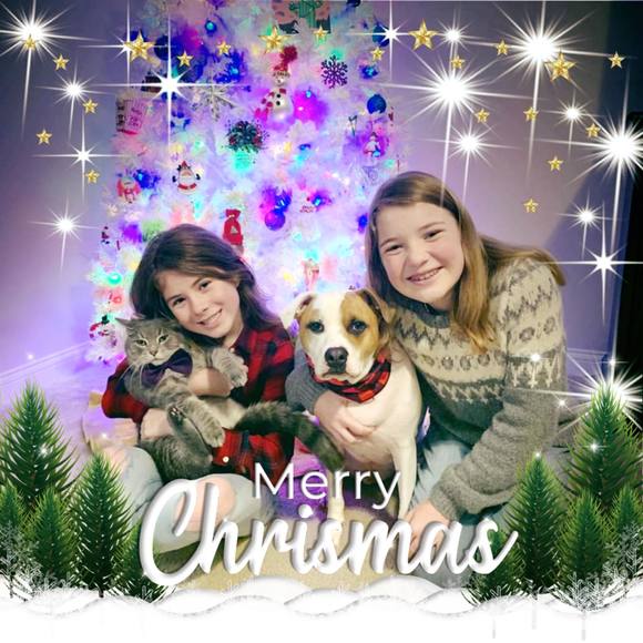 Sheri Sigler - Poshmark Profile Picture of Sheri Sigler (@shsigler) on Poshmark