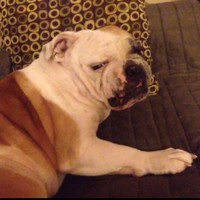 Profile Picture of Eric Torrez (@eric-torrez) on Quora