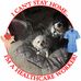 Profile Picture of Deloris Foster (Deloris Rogan) (@deloris.foster.923) on Facebook