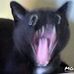 Profile Picture of Steven Borowski (Steven Borowski) (@Steven.Borowski.2002) on Facebook