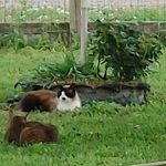 Jan M Harmeyer - Instagram Profile Picture of Jan M Harmeyer (@jharmold) on Instagram