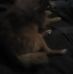 Profile Picture of Terry Glosser (@terry.glosser.73) on Facebook
