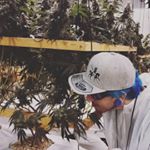 Profile Picture of chris ebarb (@omgaslinky66) on Instagram