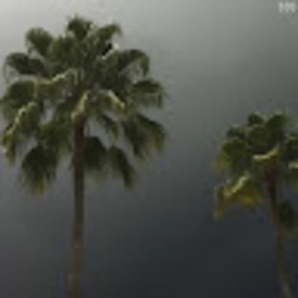 Profile Picture of Blake Jurin (@blakejurin) on Poshmark