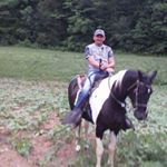 Profile Picture of Steve Purvis (@stevepurvis4032) on Instagram