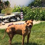 Profile Picture of Paula Booth (@thaddeus__9740_newton) on Instagram