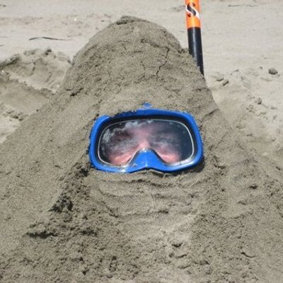 Profile Picture of Thomas Gannon (@trg383) on Twitter