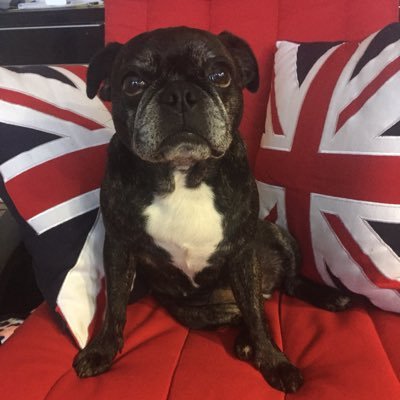 Profile Picture of Ian Pritchard (@iancpritchard) on Twitter