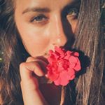 Profile Picture of Denise Rosenthal (@niissrosenthal) on Instagram
