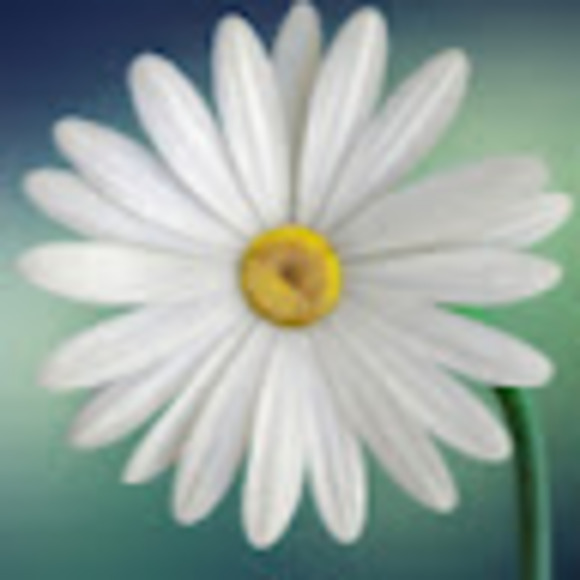 Natalia Saxvik - Poshmark Profile Picture of Natalia Saxvik (@natsaxvik) on Poshmark