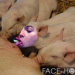 Profile Picture of William Wicks (@will1751) on Instagram