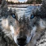 Profile Picture of Bennetton Dax (@bennetton_dax) on Instagram