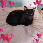 Rita Cottrell - Facebook Profile Picture of Rita Cottrell (@rita.cottrell.381749) on Facebook