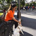 Profile Picture of Ammy Barradas Flores (@ammybf) on Instagram