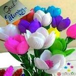 Profile Picture of James Jacob Karri (@__jacob__karri__) on Instagram