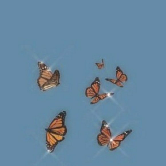 Profile Picture of Alex Jones (@alex_812) on Poshmark