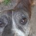 Profile Picture of Clarence Weaver (@clarence.weaver.543) on Facebook
