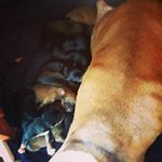 Profile Picture of aleah maree cox (@aleahmareecox) on Instagram