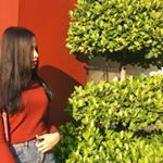 Profile Picture of Manal Ibrahim (@manaaalibrahim) on Instagram