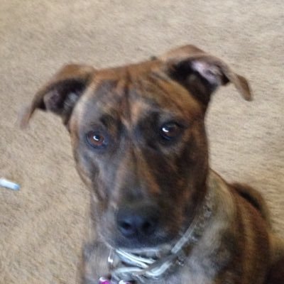 Profile Picture of Matt Caskey (@mattmid65) on Twitter