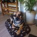 Profile Picture of Peter Kirschbaum (@peter.kirschbaum.9250) on Facebook