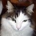 Profile Picture of Sushie Bouysson (@Sushie-Bouysson) on Facebook