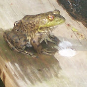 Profile Picture of Gary Boyer (@trailblazer145) on Youtube