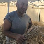 Profile Picture of Michael Massimo Minchella (@mmminchella) on Instagram