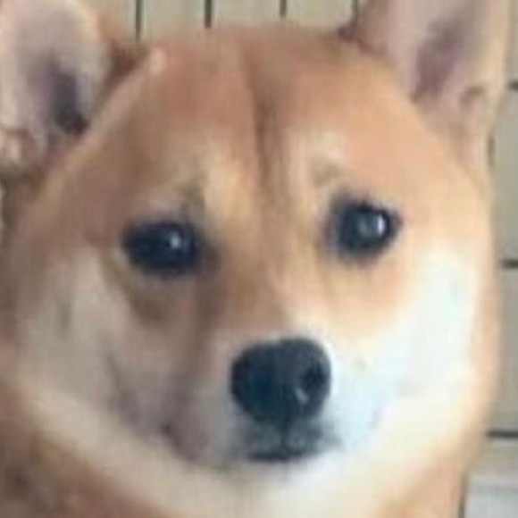 Profile Picture of Spencer Campione (@7_spencer) on Poshmark