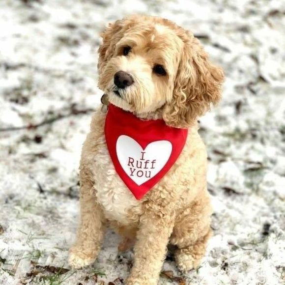 Profile Picture of Sheree Fristoe (@shake83) on Poshmark