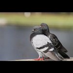 Profile Picture of Michaela Brouillette (@michaelabrouillette) on Instagram