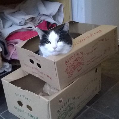 Profile Picture of Sean Jackson (@SeanJacko) on Twitter