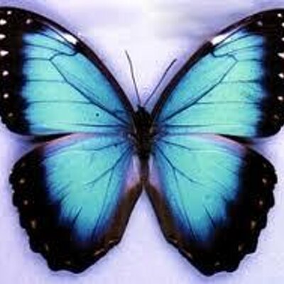 Profile Picture of Maria Corpas (@mariacorpas3) on Twitter