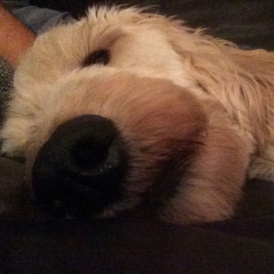 Profile Picture of Matt Haveman (@MattMinnieMax) on Twitter