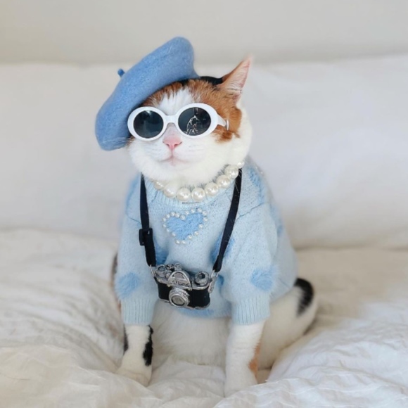 Profile Picture of Kit Wilson (@kit_wilson) on Poshmark