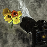 Profile Picture of Chris P Shaw (@chris p shaw) on Flickr