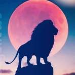 Profile Picture of Vignesh Ganni (@Vignesh-Ganni) on Facebook