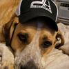 Profile Picture of stephendecker10 (@stephendecker10) on Tiktok