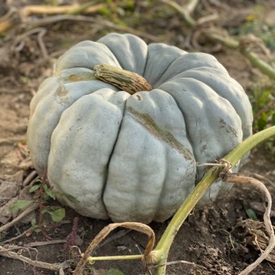 Profile Picture of Colin Cody🍂Waters (@ColinCodyWaters) on Twitter