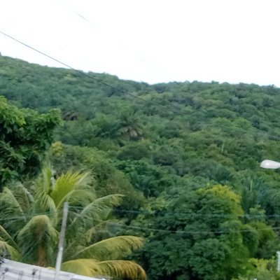 Profile Picture of Samuel Ruan Roger Da Silva Santos (@samuelRuanRoge1) on Twitter