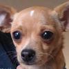 Profile Picture of Jeri Evans (@@jerievans8) on Tiktok