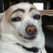 Profile Picture of Jason Baucom (@jasonbaucom3208) on Youtube