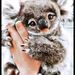Profile Picture of LULÙ (@mianullirocco162) on Pinterest