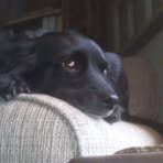 Profile Picture of Travis VanHorn (@travis.vanhorn.714) on Facebook