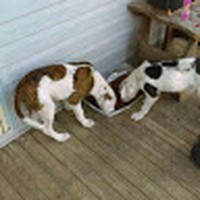 Profile Picture of Jason Windle (@jason-windle-7) on Quora