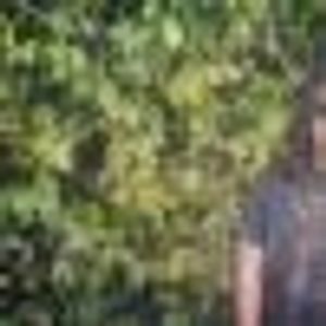 Profile Picture of Mario Arechiga (@214977787) on Myspace