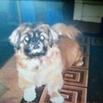 Profile Picture of Joanne Helstrom (@joannehelstrom) on Instagram